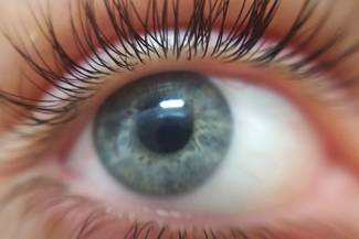 Thumbnail contacts 4.jpg